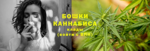 сатива Беломорск