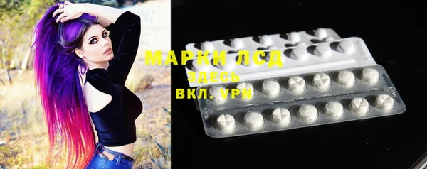 стаф Белокуриха
