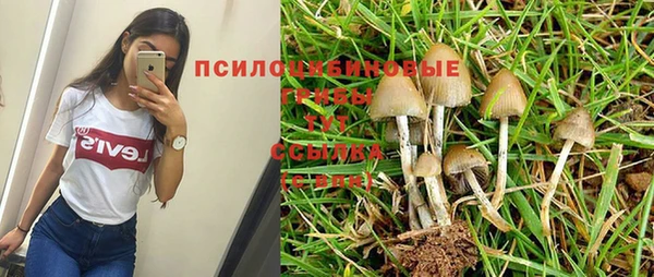 стаф Белокуриха