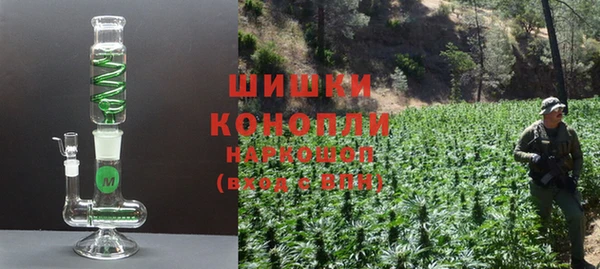 стаф Белокуриха