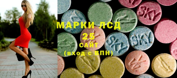 сатива Беломорск