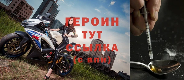 сатива Беломорск
