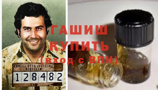 сатива Беломорск