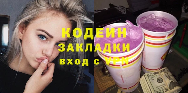 сатива Беломорск