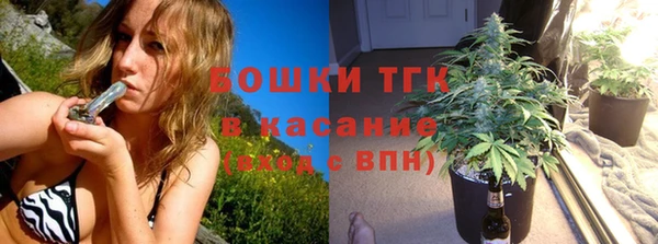 стаф Белокуриха