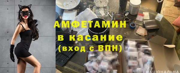 сатива Беломорск