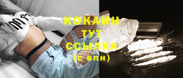 стаф Белокуриха