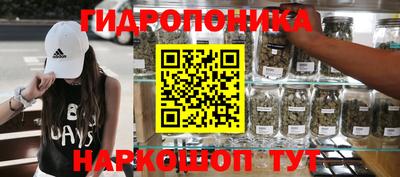 гашиш Кингисепп