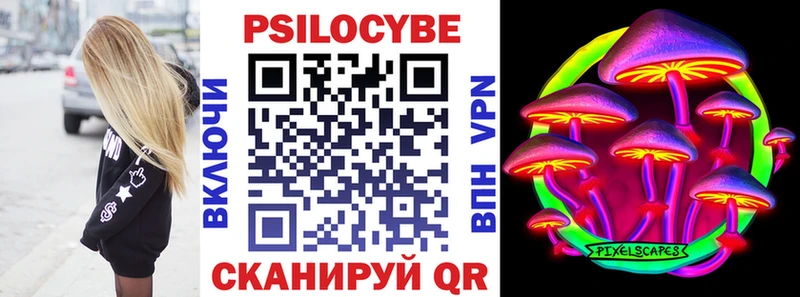 Псилоцибиновые грибы Cubensis  Купить закладки  Элиста 