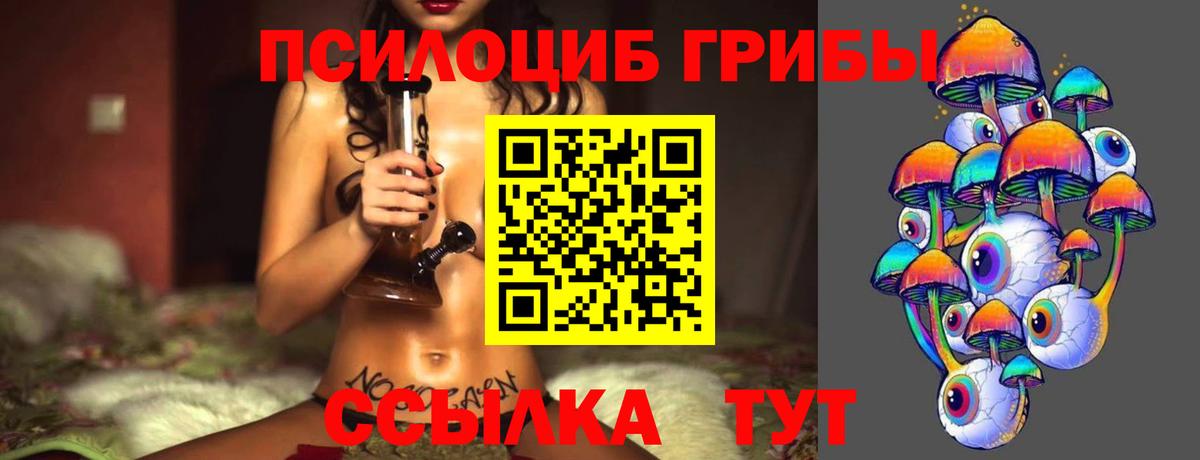 Псилоцибиновые грибы GOLDEN TEACHER  Вход с VPN  наркотики  Элиста 